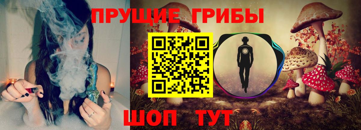 Псилоцибиновые грибы Magic Shrooms  купить наркотик  Псилоцибиновые грибы Magic Shrooms  Елизово  Вход с VPN 